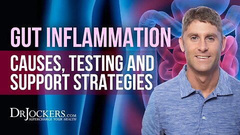 Gut Inflammation: Causes, Testing and Support Strategies