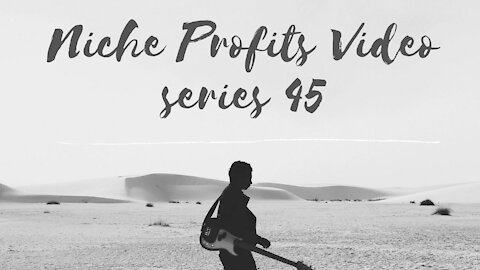 Niche Profits Video Series 45