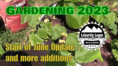 Garden 2023 : Start of June Update and adding more things