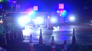 FHP investigating deadly pedestrian hit-and-run | Digital Short