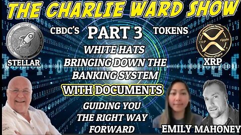 Boom: With Documents,The White Hats Bringing Down The Banking System With Emily, Mahoney & Charlie