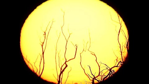 Tranquil Sunset in Australia (May 10-2023) Nikon P1000