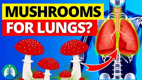 THIS Fungi May Actually Help BOOST Your Lungs 🍄