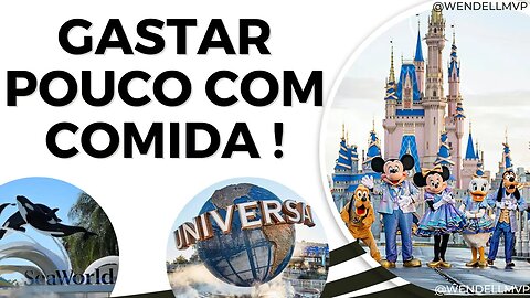 🚨 O QUE COMER NOS PARQUES EM ORLANDO PARA GASTAR POUCO ?! #orlando #disney #universal #seaworld