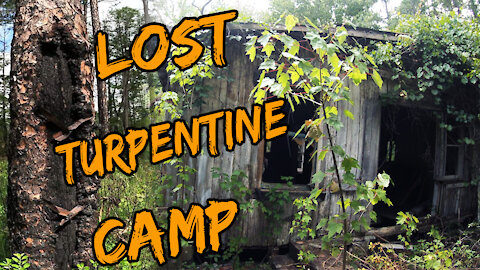 Tidewater Ghost Town and Old Turpentine Camps Explore!!!