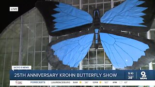 Krohn Conservatory opens this weekend with 'Butterflies of Bali' show