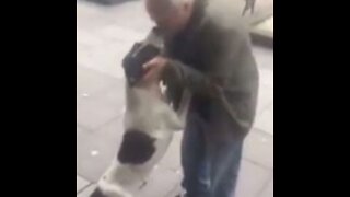 El increíble reencuentro de un anciano con su perro perdido hace 3 años emociona a toda la red