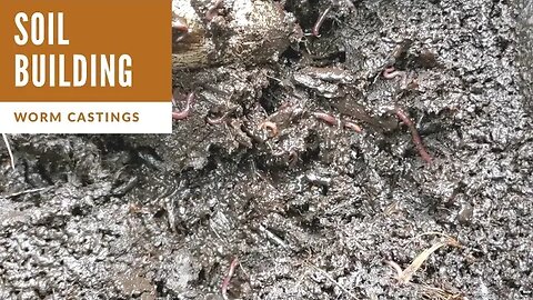 Pure worm castings to feed your garden.