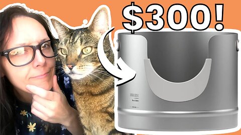 Would you buy this litter box?