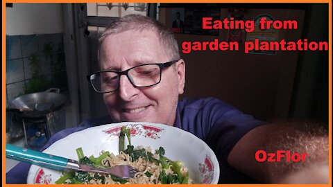 Eating from garden plantation