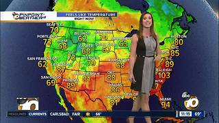 10News Pinpoint Weather with Meteorologist Megan Parry