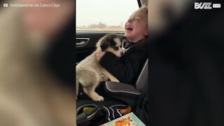 Une fille atteinte de paralysie cérébrale reçoit un chiot