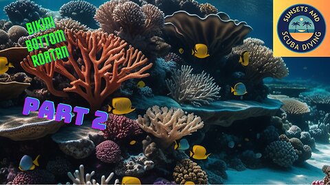 Exploring the Wonders of Bikini Bottom in Roatán | a coral Adventure