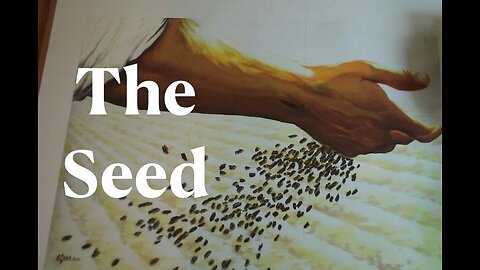 The Seed