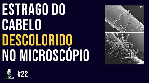 Cabelo descolorido no microscópio