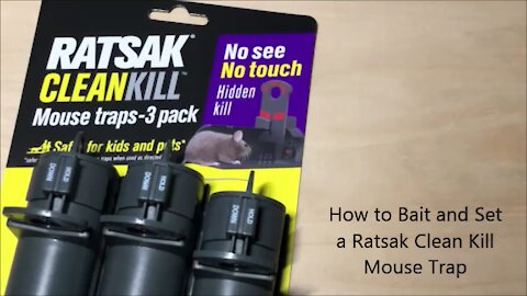 How to Bait and Set a Ratsak Clean Kill Rat Trap