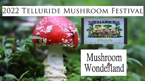Telluride Mushroom Festival 2022- The Road To Telluride