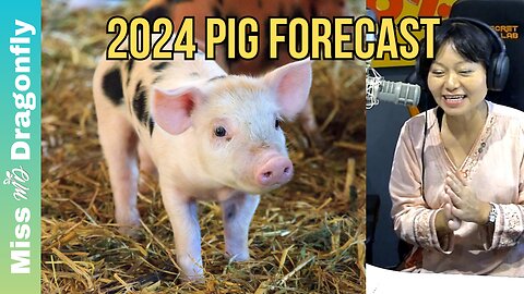 2024 Year Of The Dragon Zodiac Forecast | PIG