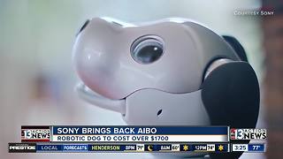Sony bringing back Aibo