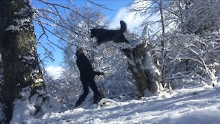 Dog trustfully jumps into owners arms