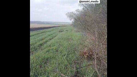 The LDNR militia in the Gorlovka direction is giving the last chance to Ukrainian militants from the 25th airmobile brigade of the Armed Forces of Ukraine to lay down their arms