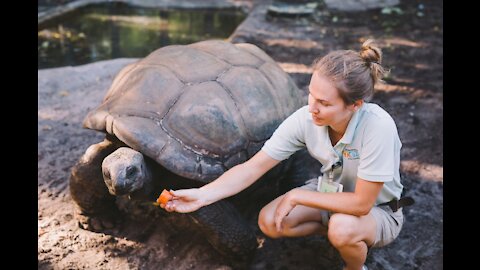 Turtle Feeding Day