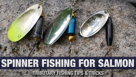 How To FISH SPINNERS For Spring/Summer King Salmon (River Fishing SECRETS!)