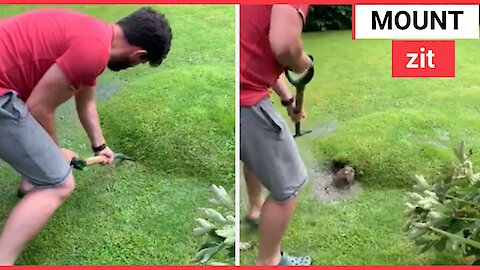 Bizzare lawn blister appears in couple's garden after heavy downpour in Yorkshire