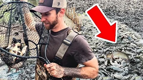 We Found a Waterhole FULL of FISH! Catch Clean Cook