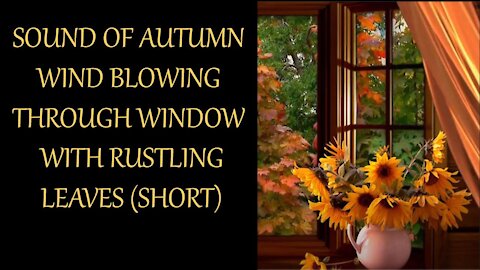 Autumn Wind Blowing Through Window With The Sound Of Rustling Leaves