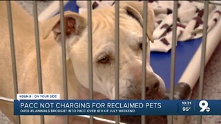 PACC takes in nearly 45 pets following holiday weekend