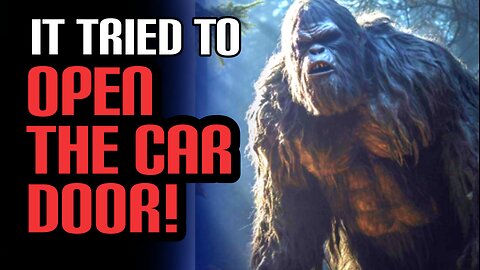 Five Startling True Bigfoot Encounter Stories