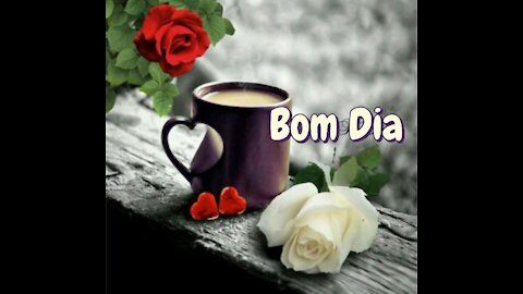 Bom dia com gratidão / Video de bom dia / good morning