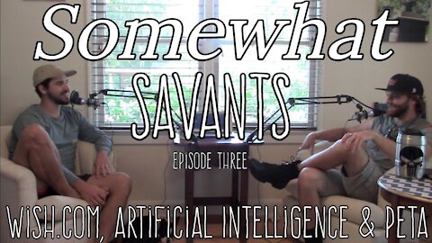 Wish.com, Artificial Intelligence & PETA | #3 | Somewhat Savants