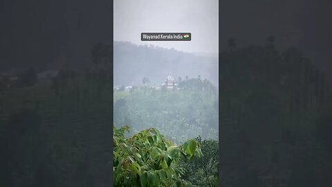 Wayanad Kerala India 🇮🇳