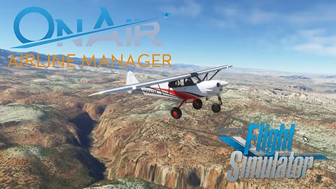 Adventures in OnAir | Microsoft Flight Simulator 2020 | NX Cub is a little boss