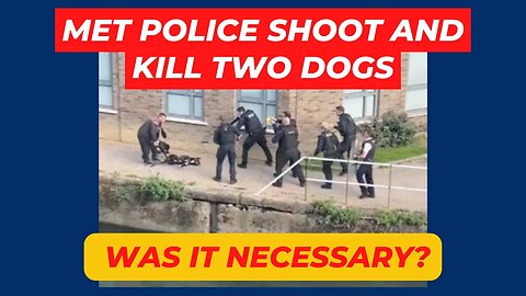 Met Police Shoot and Kill Two Dogs - Was it Necessary?