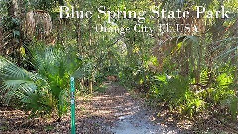 Blue Spring State Park Orange City Fl. USA Sept. 17 2023 #railfanrob #orangecity