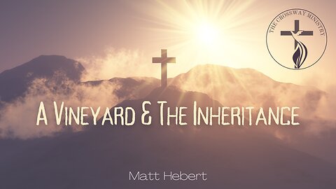 A Vineyard & the Inheritance