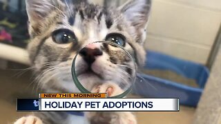 Holiday season brings big demand increase at Wis. Humane Society