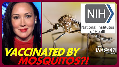 NIH Successfully Vaccinated People Using... Mosquitos?