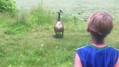 An Unusual Friendship Between a Boy and a Goose