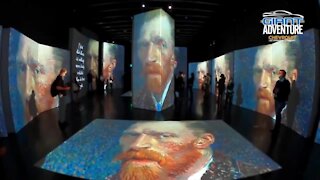 Giant Adventure: Van Gogh Alive | Morning Blend