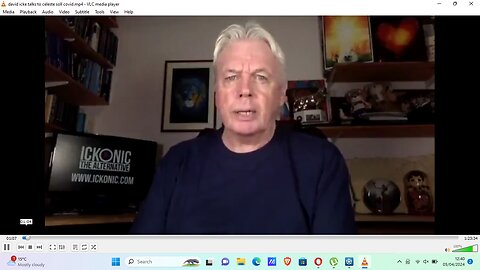David Icke Talks To Celeste Soll About Covid 19