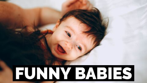 Funny Babies - Try not to Laugh