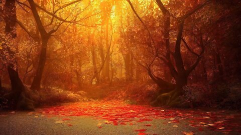 Spooky Autumn Music – Woods of Deadleaf | Dark, Mystery
