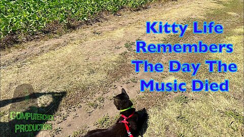 Kitty Life Remembers The Day The Music Died