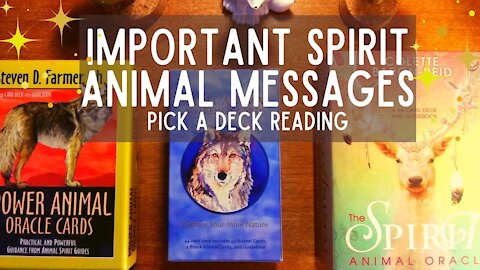 Pick a deck- Important Messages from your Spirit Animals (TIMELESS)