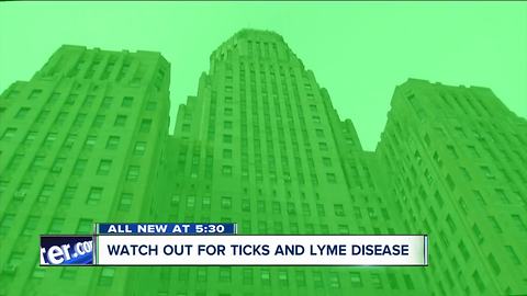 Watch out for ticks and Lyme disease in WNY