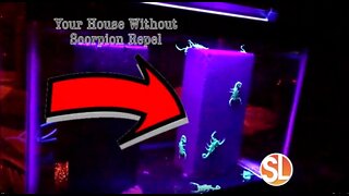 Scorpion Repel is a new way of keeping scorpions from entering your home